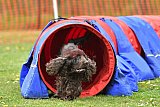 wedstrijd apeldoorn 18-04-2026