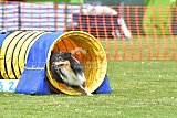 wedstrijd apeldoorn 18-04-2026