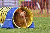 wedstrijd apeldoorn 18-04-2026