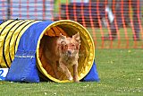 wedstrijd apeldoorn 18-04-2026