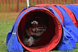 wedstrijd apeldoorn 18-04-2026