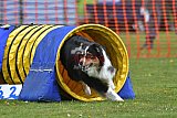 wedstrijd apeldoorn 18-04-2026