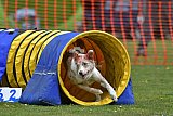 wedstrijd apeldoorn 18-04-2026