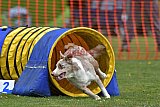 wedstrijd apeldoorn 18-04-2026