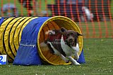 wedstrijd apeldoorn 18-04-2026