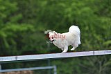 wedstrijd apeldoorn 18-04-2026