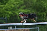 wedstrijd apeldoorn 18-04-2026