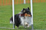 wedstrijd apeldoorn 18-04-2026