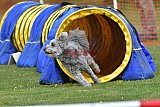 wedstrijd apeldoorn 18-04-2026