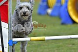 wedstrijd apeldoorn 18-04-2026