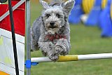 wedstrijd apeldoorn 18-04-2026