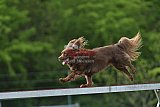 wedstrijd apeldoorn 18-04-2026