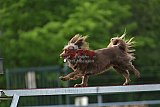 wedstrijd apeldoorn 18-04-2026