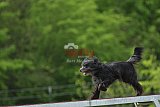 wedstrijd apeldoorn 18-04-2026
