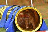 wedstrijd apeldoorn 18-04-2026