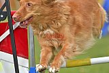 wedstrijd apeldoorn 18-04-2026
