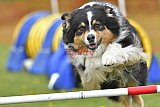 wedstrijd apeldoorn 18-04-2026