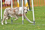 wedstrijd apeldoorn 18-04-2026