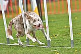 wedstrijd apeldoorn 18-04-2026