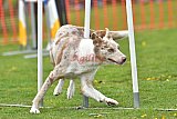 wedstrijd apeldoorn 18-04-2026