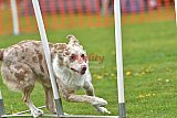 wedstrijd apeldoorn 18-04-2026