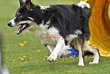 wedstrijd apeldoorn 18-04-2026