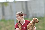 wedstrijd apeldoorn 18-04-2026