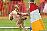 wedstrijd apeldoorn 18-04-2026