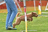 wedstrijd apeldoorn 18-04-2026