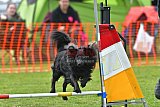 wedstrijd apeldoorn 18-04-2026