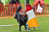 wedstrijd apeldoorn 18-04-2026