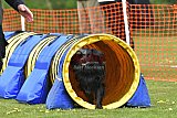 wedstrijd apeldoorn 18-04-2026
