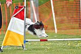 wedstrijd apeldoorn 18-04-2026