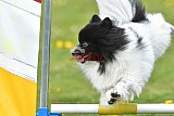 wedstrijd apeldoorn 18-04-2026