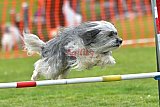 wedstrijd apeldoorn 18-04-2026