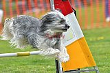 wedstrijd apeldoorn 18-04-2026