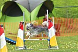 wedstrijd apeldoorn 18-04-2026