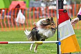 wedstrijd apeldoorn 18-04-2026