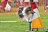 wedstrijd apeldoorn 18-04-2026