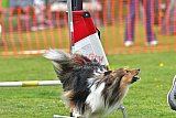 wedstrijd apeldoorn 18-04-2026