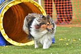 wedstrijd apeldoorn 18-04-2026