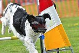 wedstrijd apeldoorn 18-04-2026
