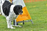 wedstrijd apeldoorn 18-04-2026