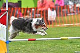 wedstrijd apeldoorn 18-04-2026