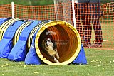 wedstrijd apeldoorn 18-04-2026