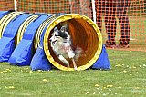 wedstrijd apeldoorn 18-04-2026