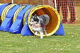 wedstrijd apeldoorn 18-04-2026