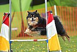 wedstrijd apeldoorn 18-04-2026