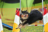 wedstrijd apeldoorn 18-04-2026