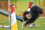 wedstrijd apeldoorn 18-04-2026
